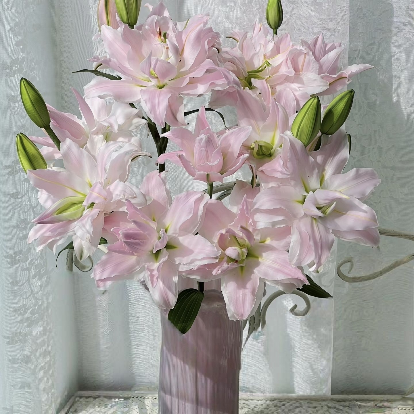 【云舍稀有】粉黛重瓣百合（女神） 任意组合2单或以上冷链包邮,鲜花速递/花卉仿真/绿植园艺,花材,淘宝优惠券,粉丝福利购,淘宝优惠卷