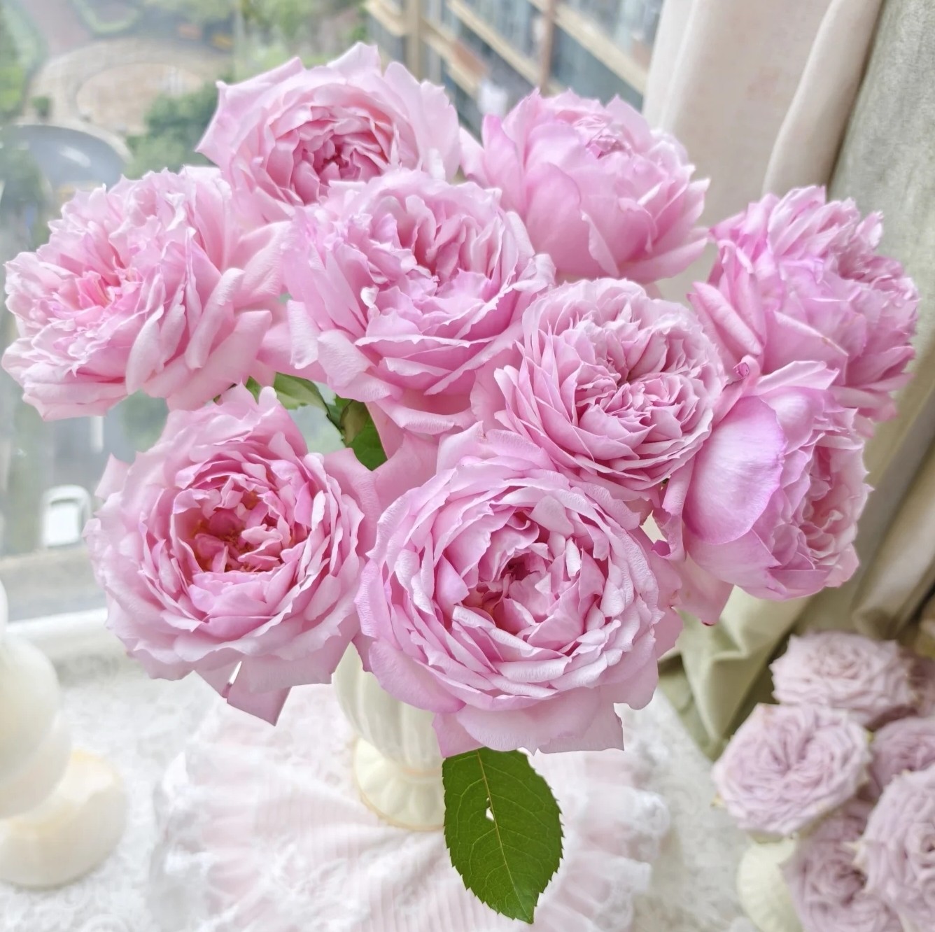 【云舍臻选】稀有粉可爱瓷单头玫瑰  任意组合两单或以上包邮,鲜花速递/花卉仿真/绿植园艺,花材,淘宝优惠券,粉丝福利购,淘宝优惠卷