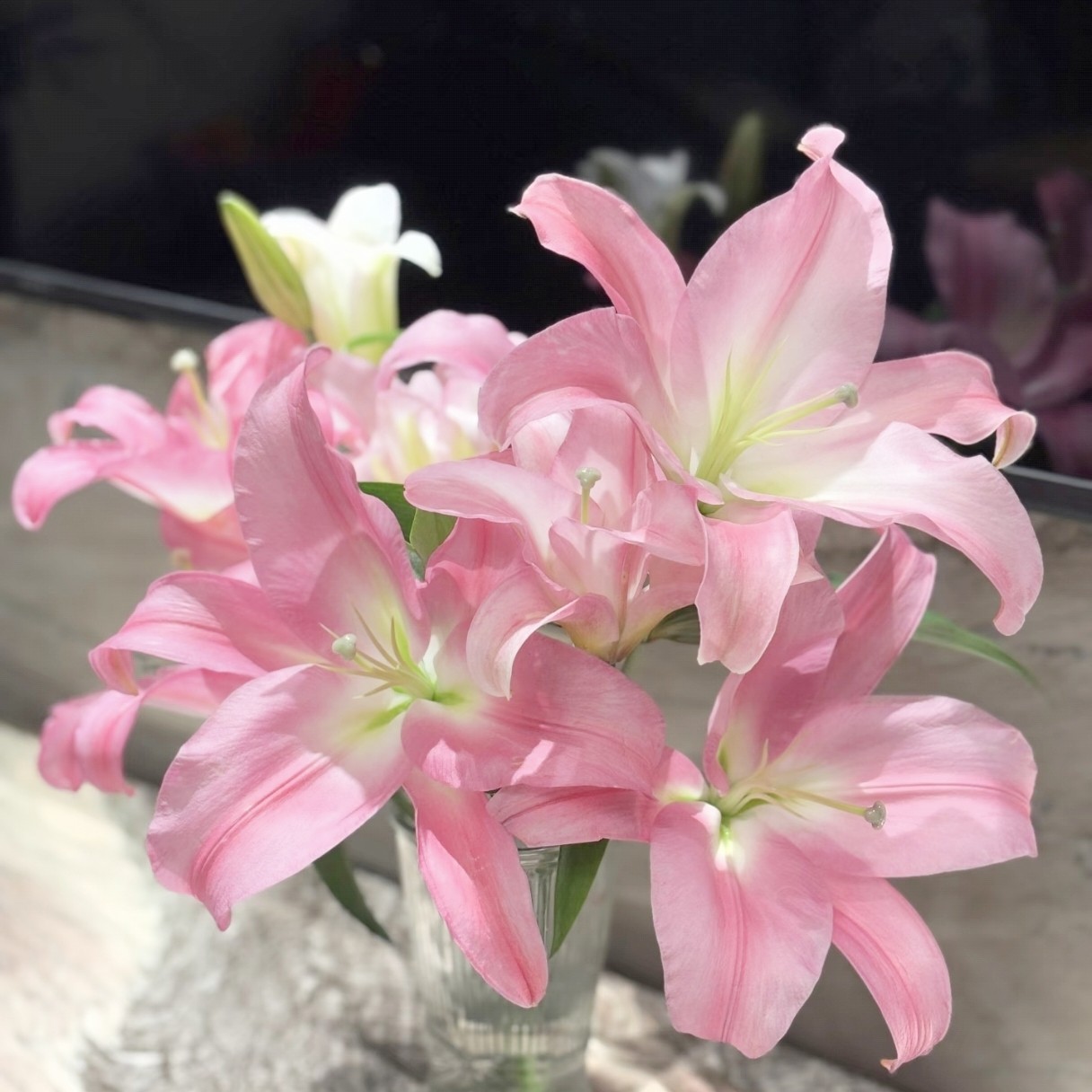 【云舍臻选】星光单瓣香水百合鲜花  任意组合2单或以上冷链包邮