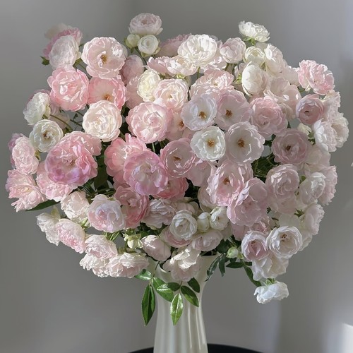 【云舍臻选】粉泡芙多头玫瑰 任意组合2单或以上包邮