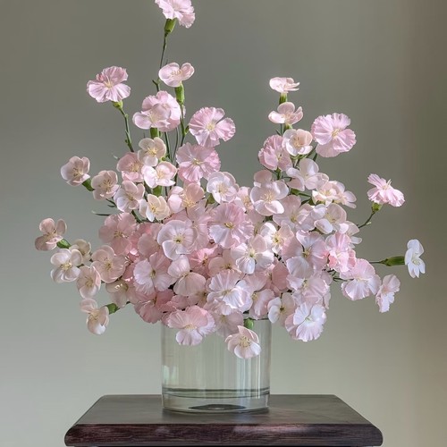 【云舍新品】】粉葵多丁康乃馨  任意两单及以上包邮