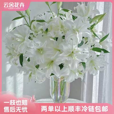 【稀有】10-12花苞冰雪浪漫重瓣百合任意组合两单顺丰冷链包邮