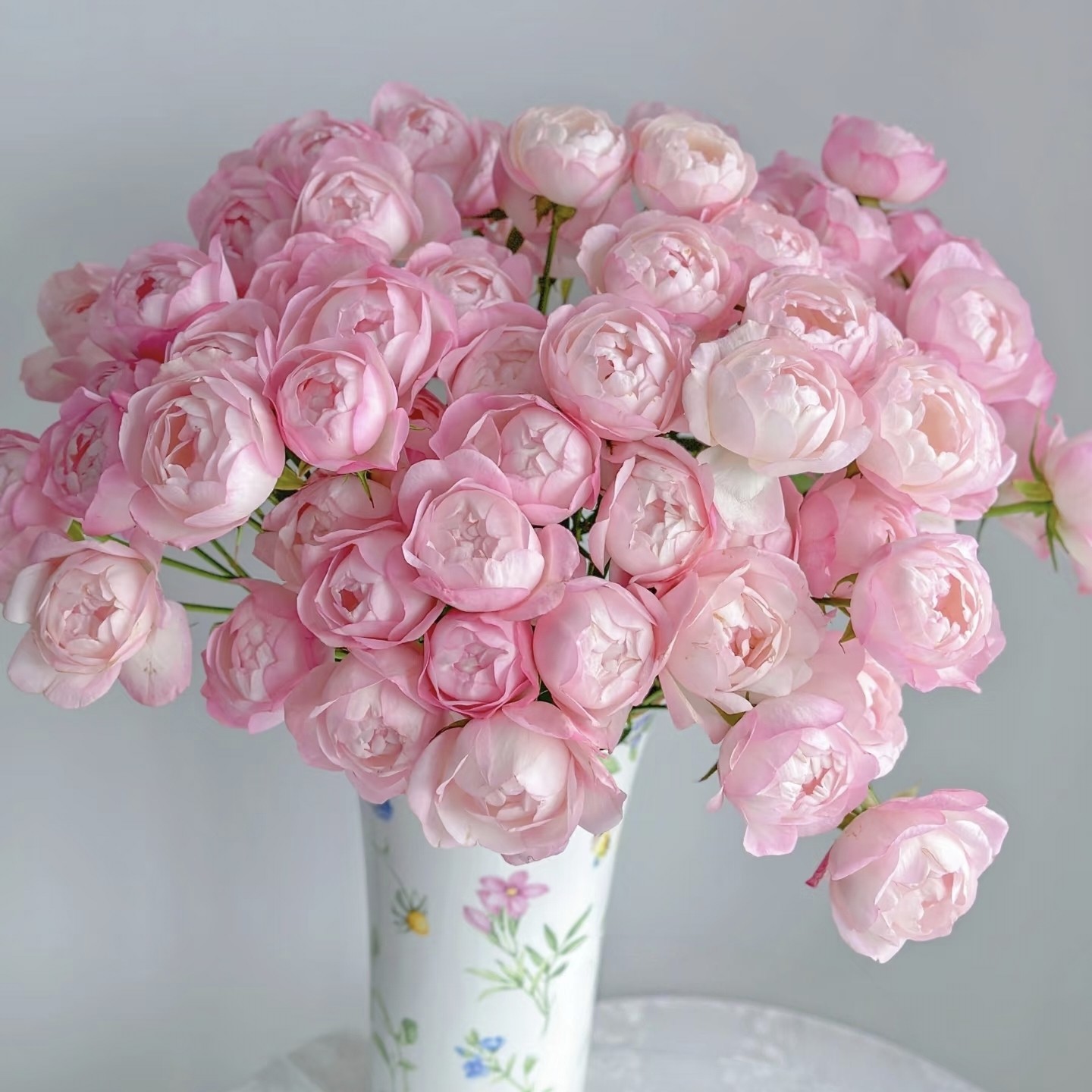 【云舍臻选】AA级草莓杏仁饼多头玫瑰 任意组合两单或以上包邮,鲜花速递/花卉仿真/绿植园艺,花材,淘宝优惠券,粉丝福利购,淘宝优惠卷