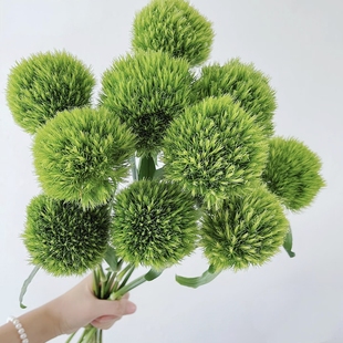 【云舍臻选】绿毛球一扎  任意组合2单或以上冷链包邮