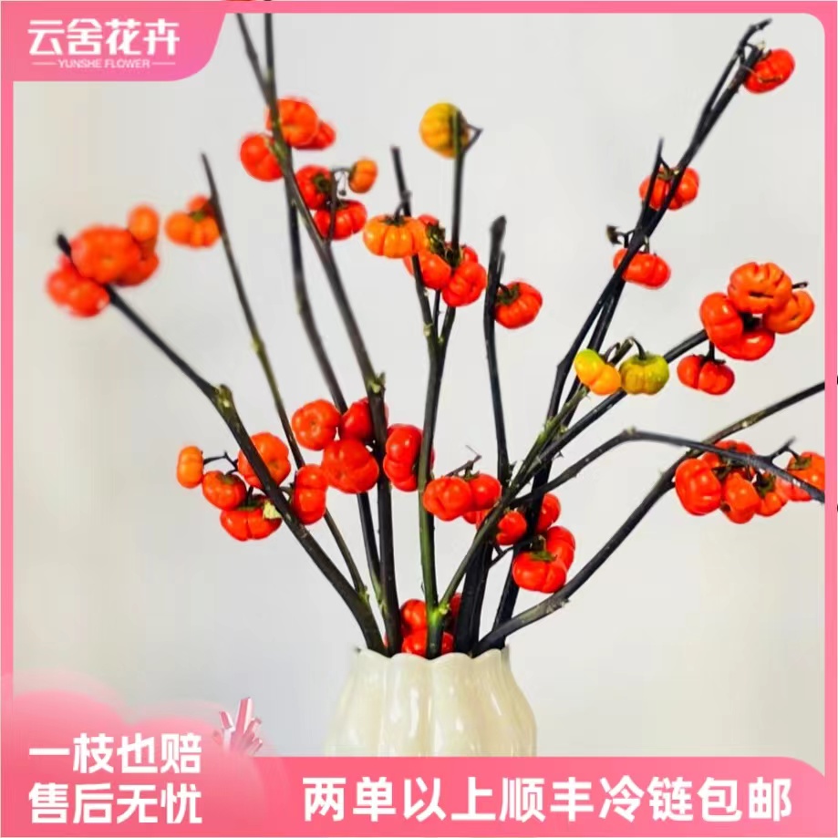 养眼插花小南瓜日常插花通用