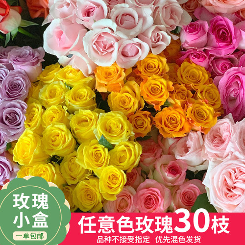 【云舍臻选】【不指定快递】玫瑰盲盒随机30支玫瑰  单件包邮