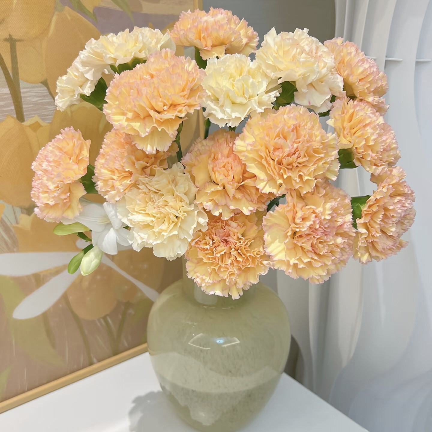 【云舍稀有】可可西里单头康乃馨一扎 任意组合2单或以上冷链包邮,鲜花速递/花卉仿真/绿植园艺,花材,淘宝优惠券,粉丝福利购,淘宝优惠卷