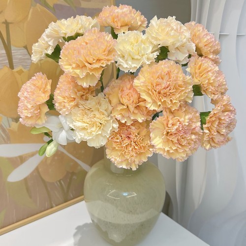 【云舍臻选】稀有可可西里单头康乃馨 任意组合2单或以上冷链包邮