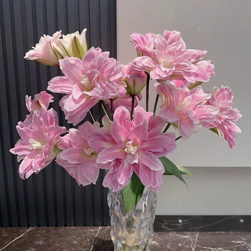 【云舍臻选】莲花之境重瓣百合  任意组合2单或以上冷链包邮