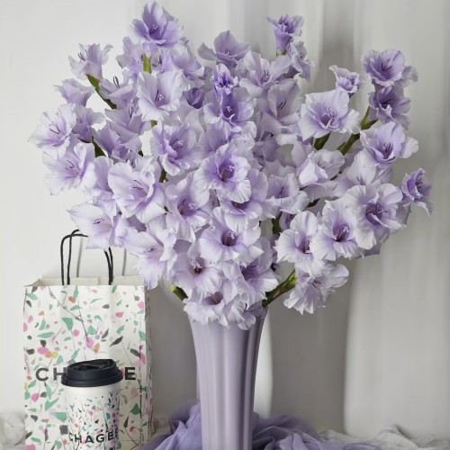 剑兰日常插瓶香芋紫高品质