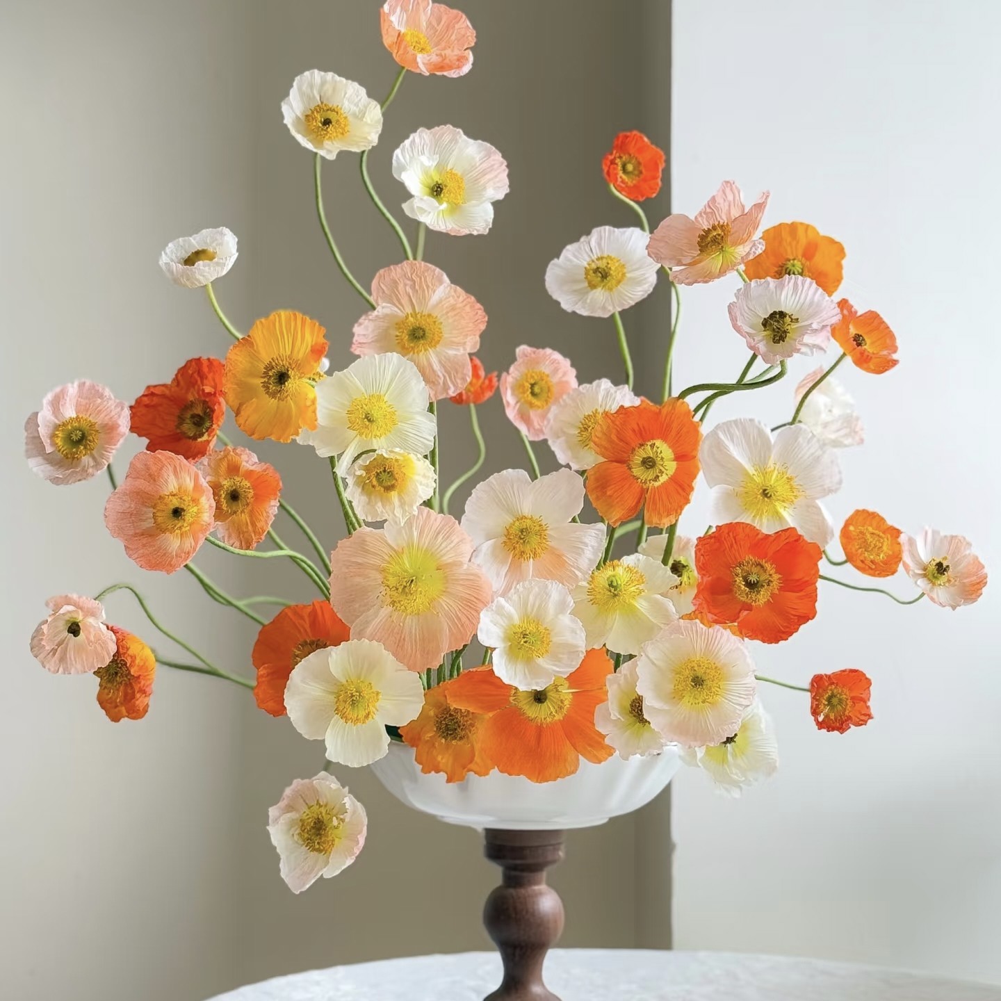 【云舍精选】虞美人一扎任意组合两单或以上顺丰冷链包邮,鲜花速递/花卉仿真/绿植园艺,花材,淘宝优惠券,粉丝福利购,淘宝优惠卷