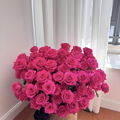 【云舍臻选】 弗洛伊德 单头玫瑰 任意两单及以上包邮