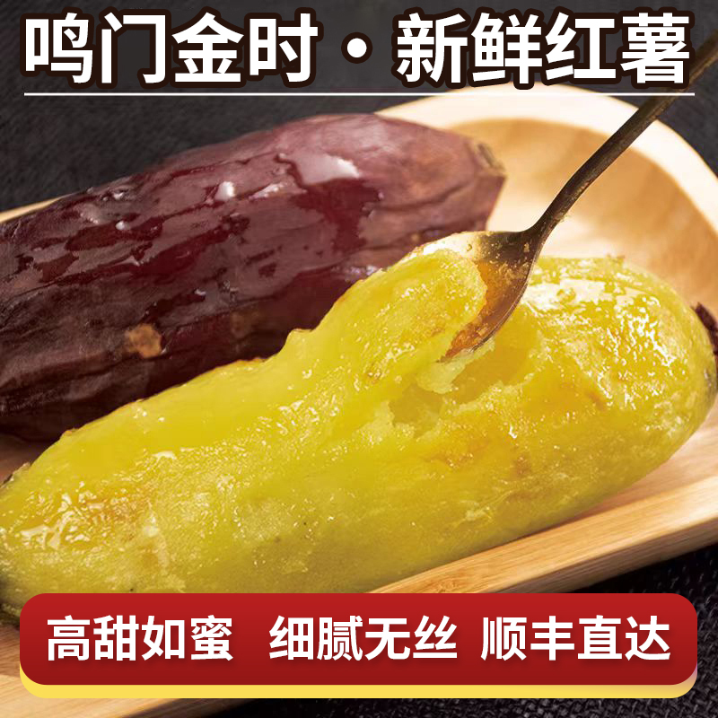 鸣门金时现挖红薯黄心番薯