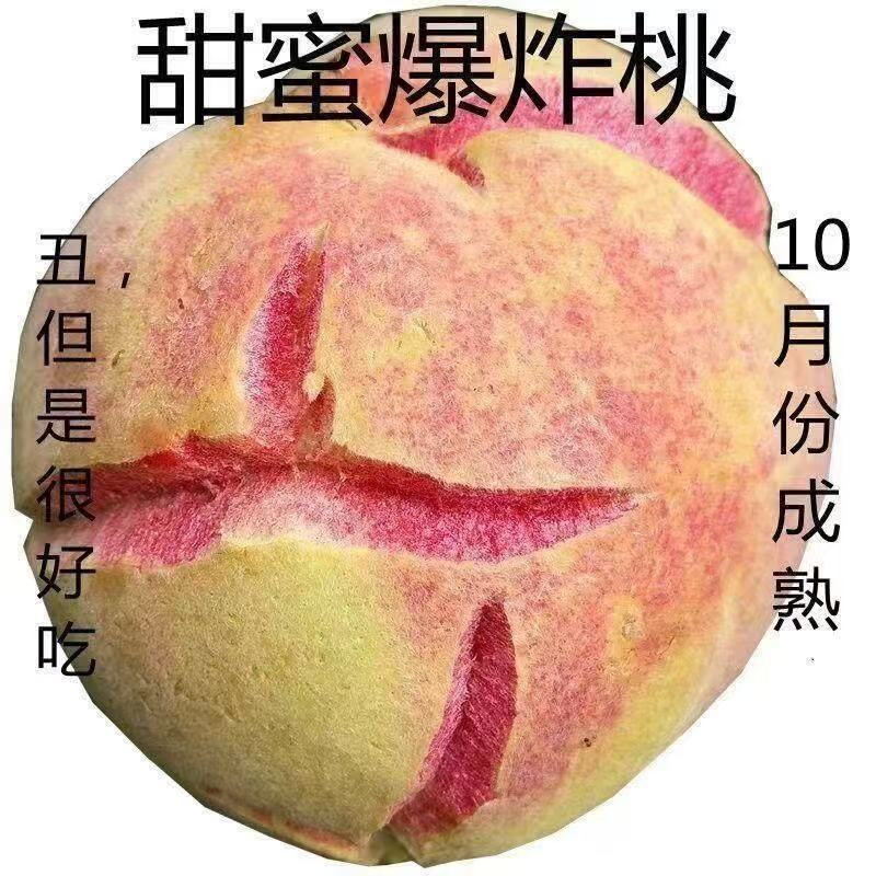 甜蜜爆炸桃树苗嫁接苗盆栽地栽南北方种植桃子苖当年结果离核脆