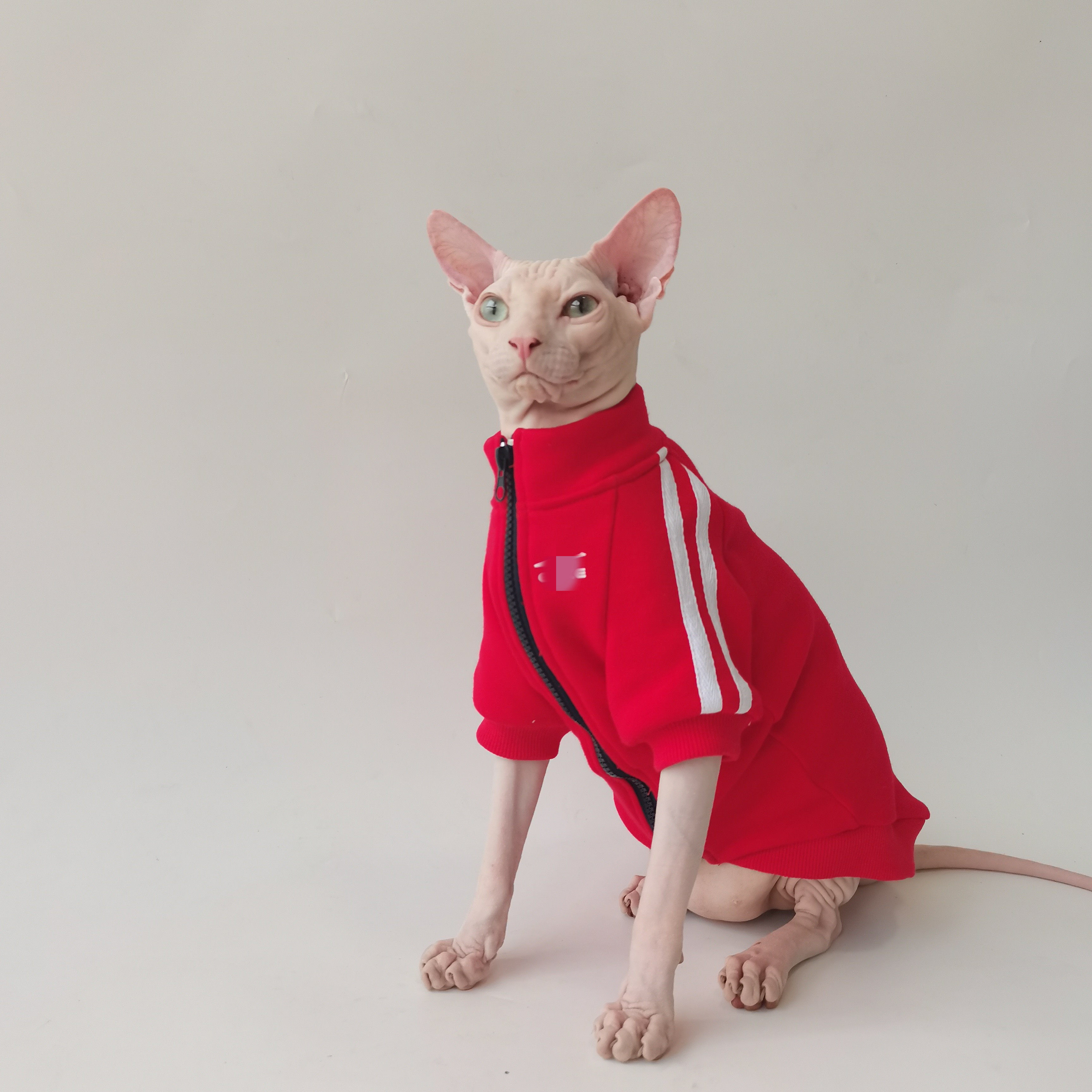 秋冬款潮牌运动拉链夹克加绒保暖斯芬克斯无毛猫德文衣服 包邮