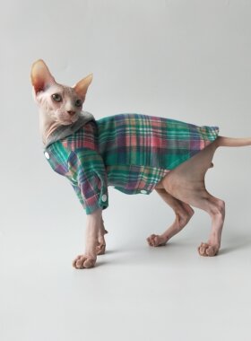 斯芬克斯德文定制戴帽包邮无毛猫