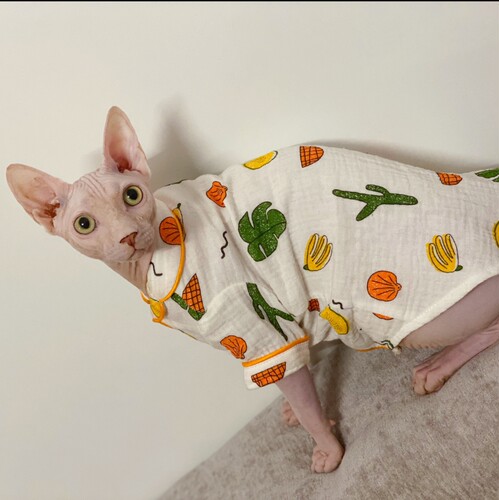 春夏薄款睡衣纯棉吸汗透气小清新斯芬克斯无毛猫德文衣服包邮 - 封面