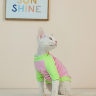 背心T恤纯棉透气小清新斯芬克斯无毛猫德文衣服 拼袖 夏季 薄款