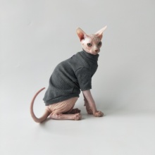 斯芬克斯无毛猫 德文猫定制秋冬全棉贴身保暖高领针织衫衣服 包邮