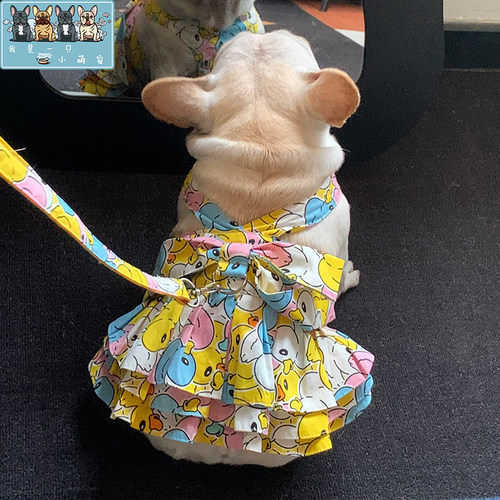中小型犬春夏薄款公主裙