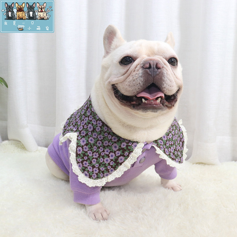 春秋新款法斗巴哥斗牛犬比熊博美衣服可爱潮牌华夫格卫衣短袖T恤