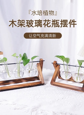 简约水培玻璃透明小花瓶水养绿萝植物花盆瓶子插花装饰 创意摆件