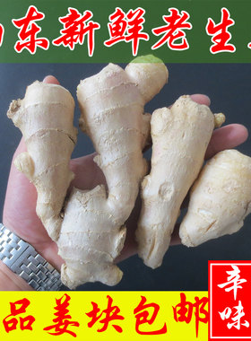 凌河老农老生姜包邮价