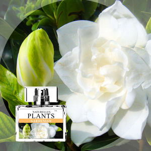 枝枝花香水价格 枝枝花香水图片 星期三