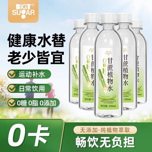 天然无糖甘蔗汁植物饮料小分子水