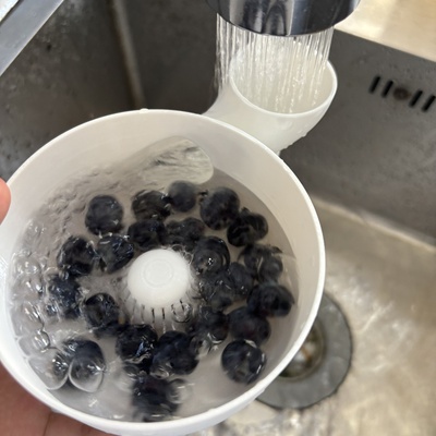 Automatic vegetable and fruit washer自动蔬菜和水果清洗器清洁