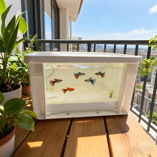 新款 乌龟缸可视周转箱生态别墅造景家用鱼龟饲养缸加厚防逃带滤盒