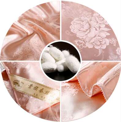 极速New silk qukilt quilt core autumn and winter summer cool