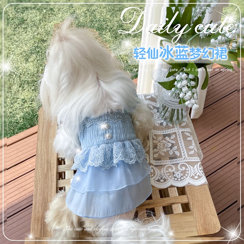 极速KZ c冰蓝轻仙梦幻裙  小型狗狗猫咪宠物春秋装泰迪比熊公主礼