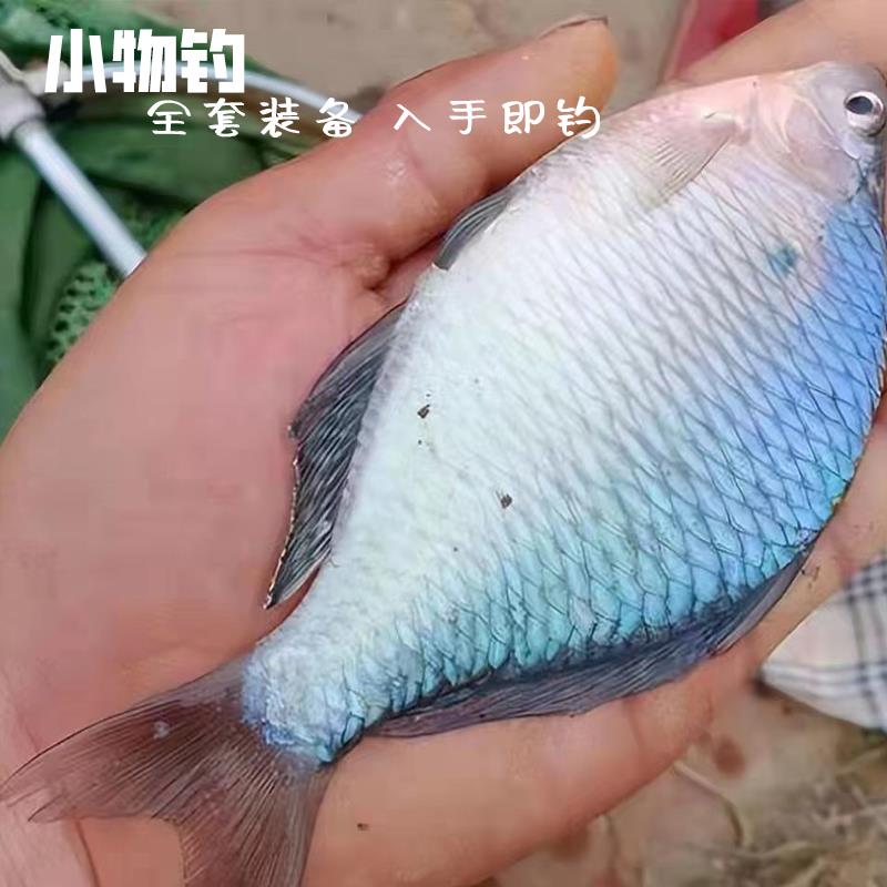 极速小物钓全套装备手工微物小鱼C竿新手户外亲子儿童溪流鳑鲏鲫
