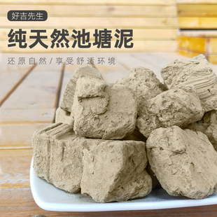 极速碗莲荷花塘泥块状水培v植物铜钱草睡莲绿化盆栽养花种菜通用