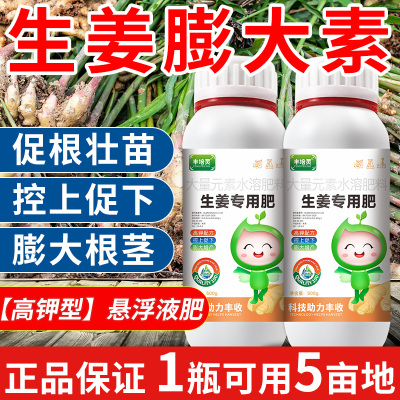 生姜专用肥地下根茎块膨大素
