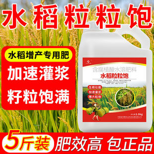 水稻专用叶面肥喷施返青分蘖肥非复合肥增产剂稻黄金增产剂