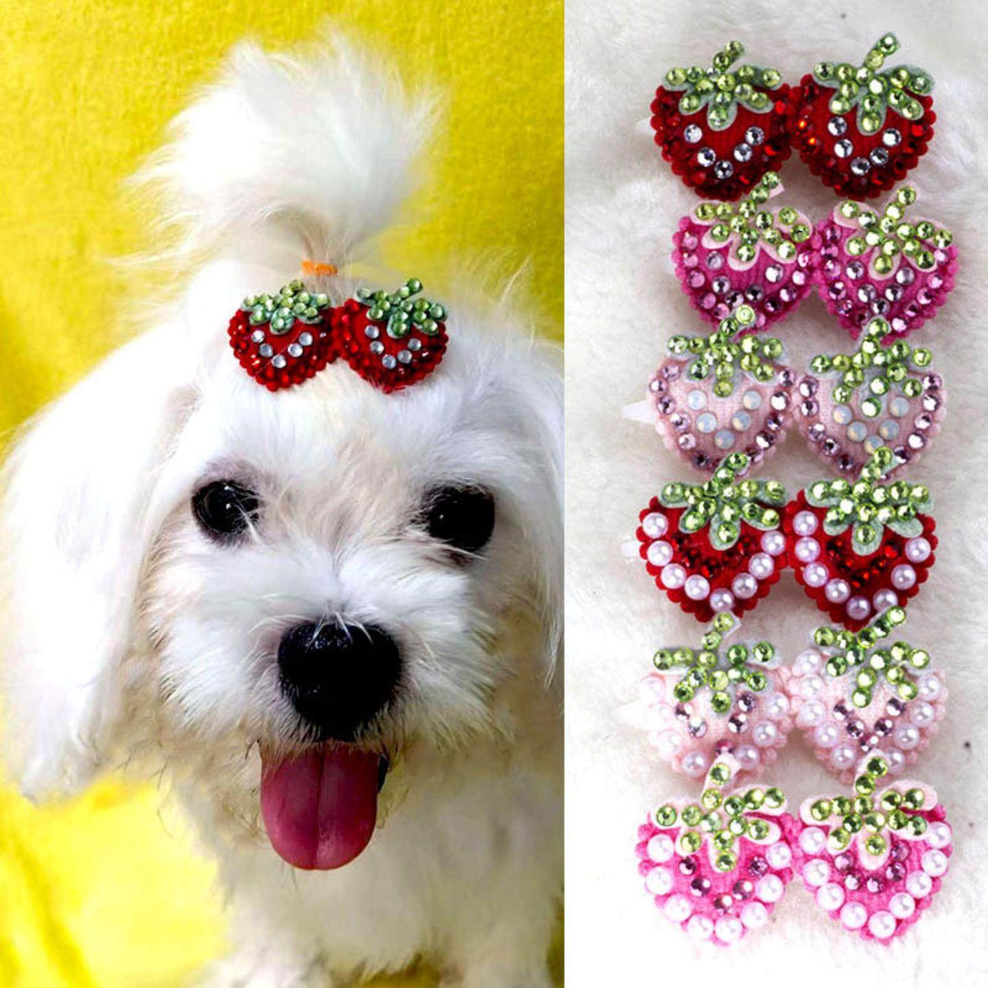 宠物发夹青蛙夹一字扣带钻满钻草莓发夹西施犬马尔济斯犬狗狗发夹,模玩/动漫/周边/娃圈三坑/桌游,棉花娃娃场景道具娃屋,淘宝优惠券,粉丝福利购,淘宝优惠卷