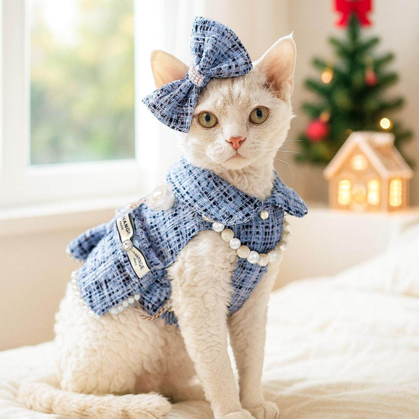 现货宠物衣服秋冬款小型犬幼犬快乐狗猫保暖舒适服饰小香风背包裙,模玩/动漫/周边/娃圈三坑/桌游,棉花娃娃场景道具娃屋,淘宝优惠券,粉丝福利购,淘宝优惠卷