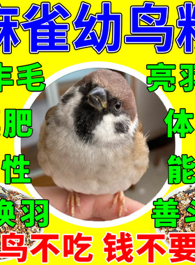 麻雀饲料专用鸟粮食物投喂布施山树麻雀黑顶黑胸家麻雀小雏鸟幼鸟