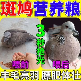 斑鸠专用饲料五色黍子玉米小颗粒粮食幼鸟换毛期等鸟类通用营养粮