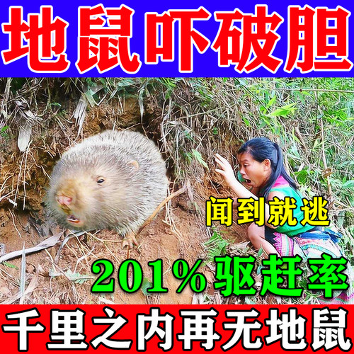 地鼠专用药庄稼保护神器驱赶鼹爬子果菜园田野养殖场捕灭赶鼠
