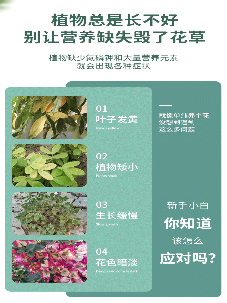 花卉植物浓缩营养液家用土培盆栽养花通用型花肥绿萝水培液体肥料