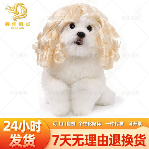 新款宠物假发猫狗通用假发跨境宠物用品圣诞节万圣节法官发饰