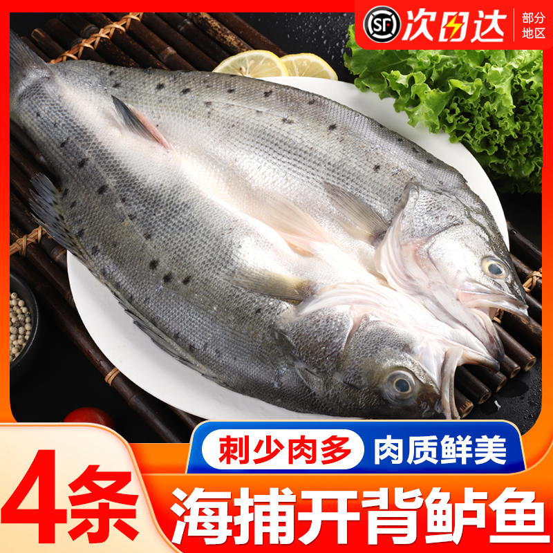 名扬湖海开背鲈鱼本成品