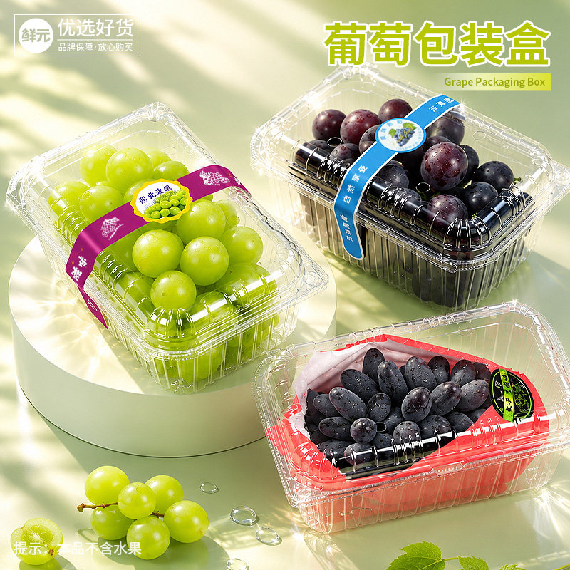 鲜元一次性透明塑料打包盒
