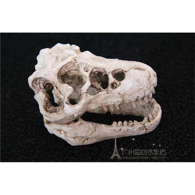 鱼缸摆件造景水草恐龙