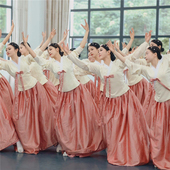 朝鲜舞蹈演出服女艺考舞蹈服朝鲜舞蹈裙练功服延吉韩服考级练习裙