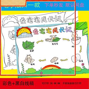 蚕的一生手抄报模板绘画蚕宝宝成长记自然笔记观察日记电子版