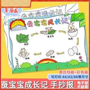 蚕宝宝成长记观察蚕的一生自然笔记电子版小报手抄报线稿A4儿童画
